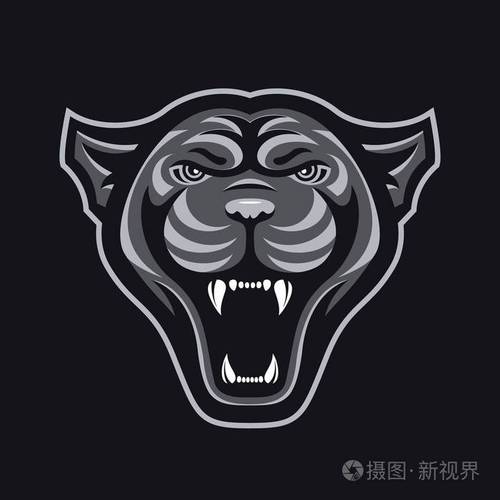 豹头标志为体育俱乐部或团队动物吉祥物标识模板矢量图