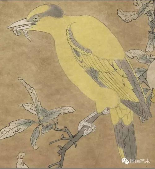 国画知识24种鸟类设色步骤