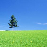 微信头像景色的图片【点击鼠标右键下载】