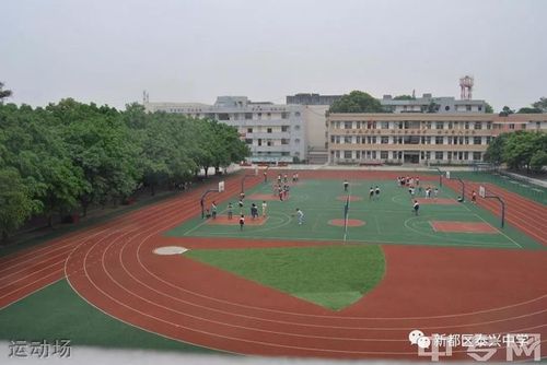 2019年新都泰兴中学录取分数线及招生计划