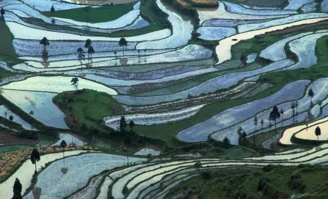 梯田的颜色@ 地道风物