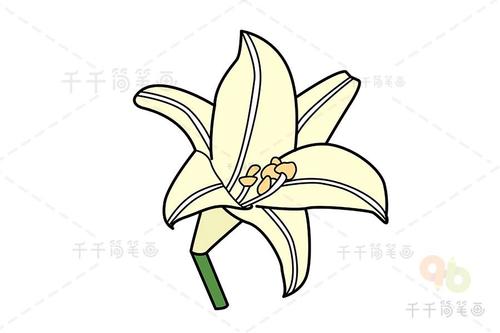 百合花简笔画画法