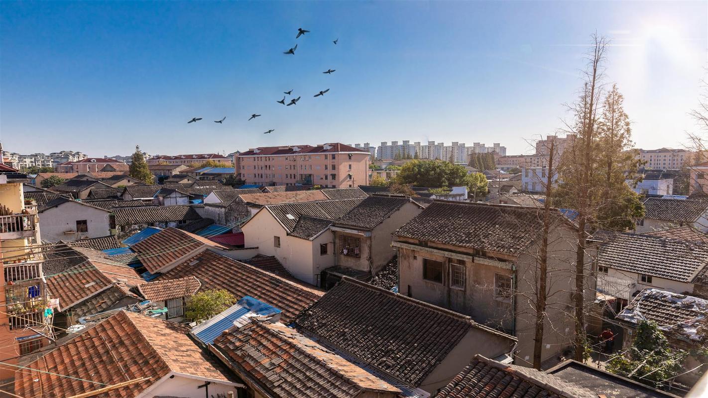 盼了20年,颛桥老街旧区改造城市更新项目启动_上观新闻