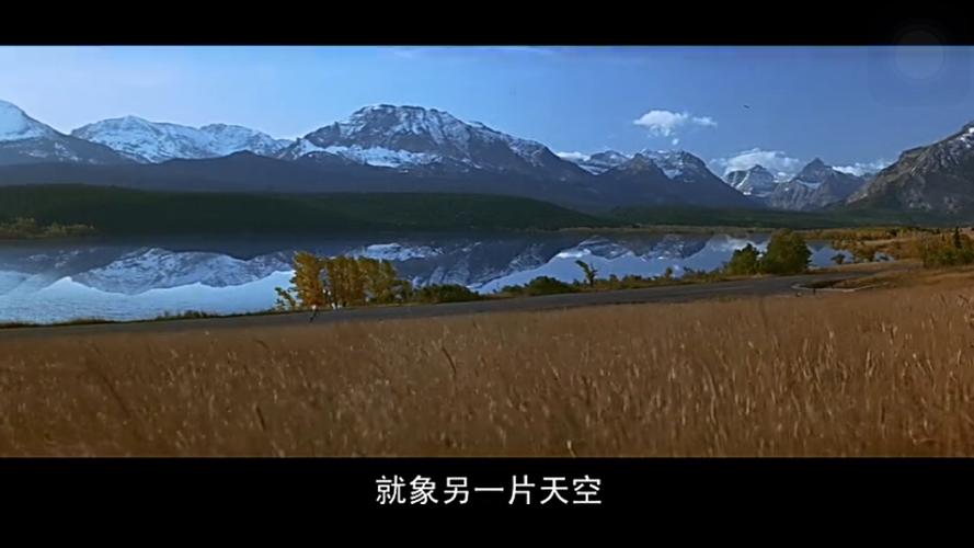 阿甘正传 - 堆糖,美图壁纸兴趣社区