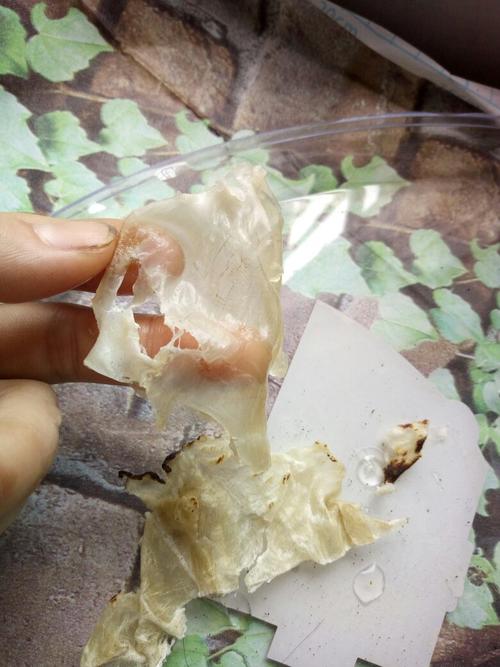 请大神鉴定下这是假鱼胶吗?