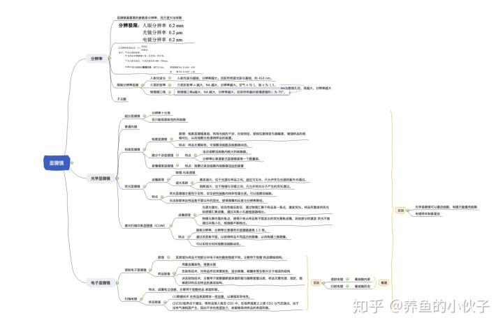 显微镜知识导图