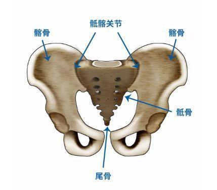 "腰痛,屁股痛"是骶髂关节问题,瑜伽老师教您如何解决