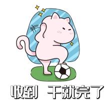 收到表情包卡通其他