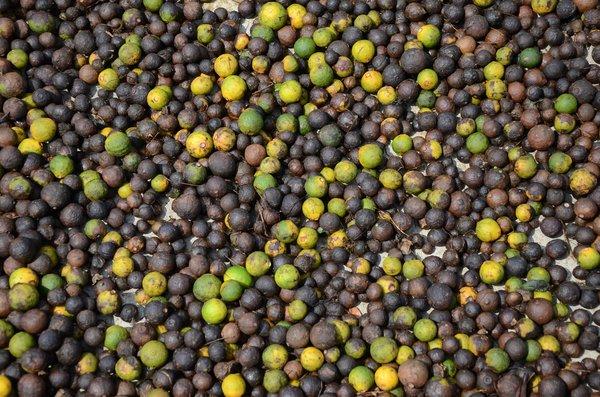 柑橘落地果一定要捡起来,比成熟柑橘还值钱