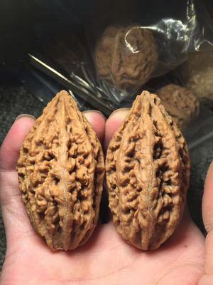 60长东北野生秋子文玩核桃蚂蚁纹粗筋霸王枪判官笔柳叶包邮