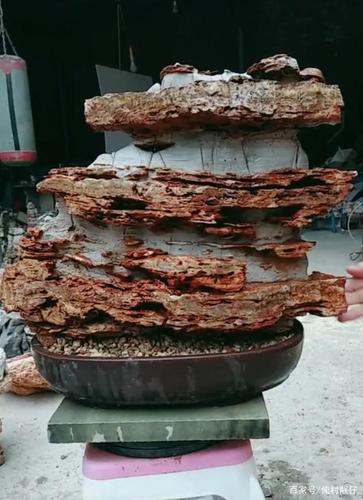 精品太行奇石,产自2500米的大山