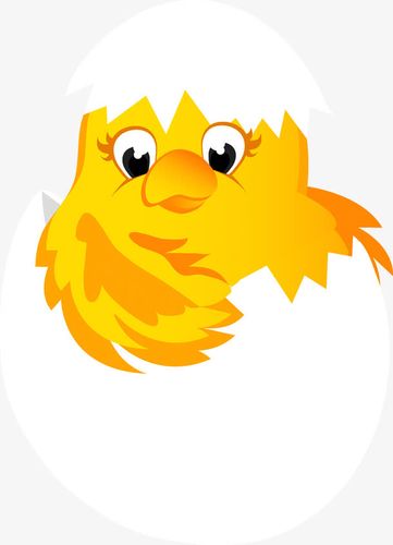 关键词 : 小鸡,破壳而出,鸡蛋,孵化,孵小鸡,破壳