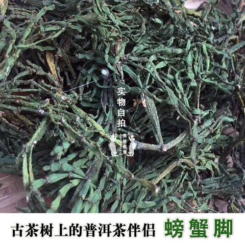 景迈山野生古树螃蟹脚普洱茶散生茶古树茶100/500克包邮茶农自销