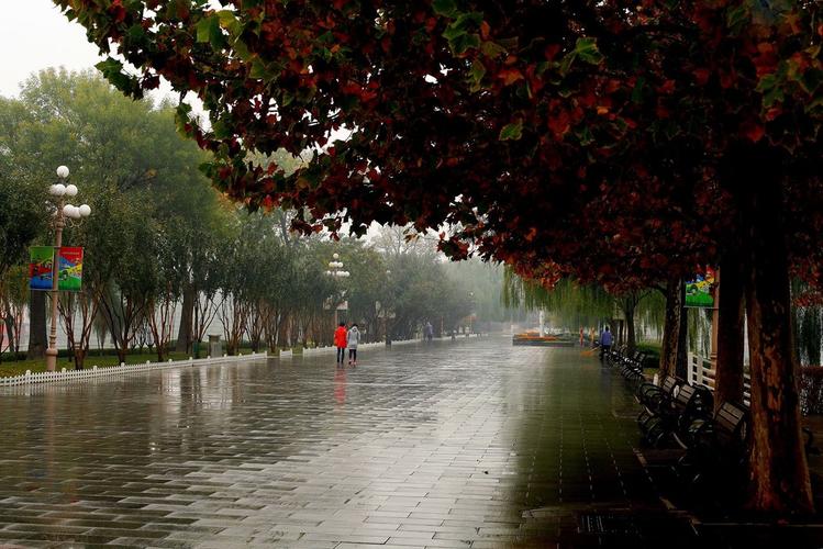 秋雨蒙蒙.