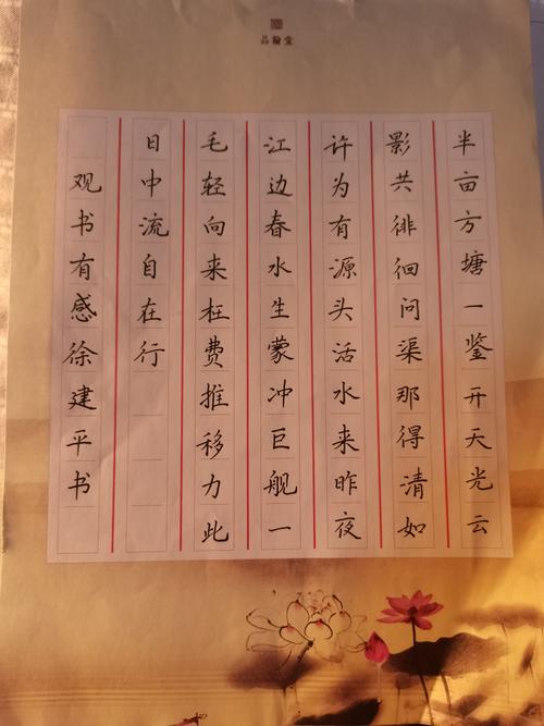 《观书有感》书写---五(5)滴答滴班学生硬笔书法作品展示(四)