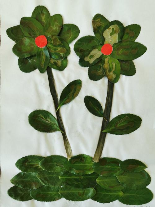 留住美丽的秋天 树叶贴画 ——西关小学一年级(1)班