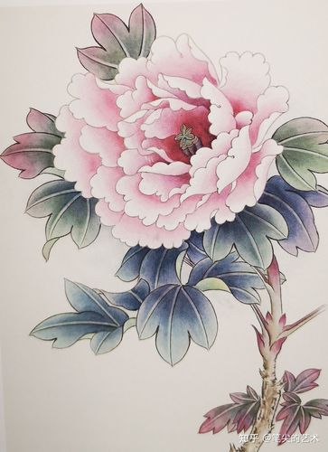 浅谈工笔牡丹花画法步骤图