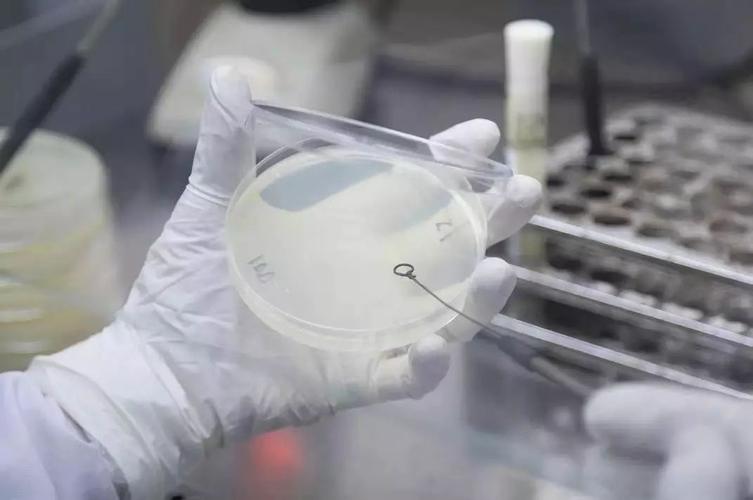 不要再吃完饭就泡着碗不洗了,10个小时能培养出十亿细菌!