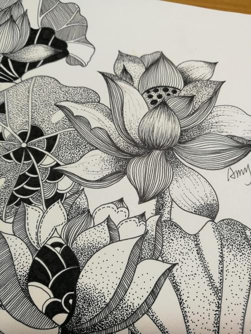 【线描画】九月|  荷花(二)_线描画_知识_艺术