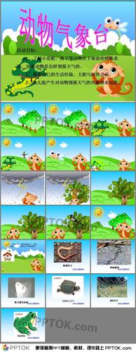 幼儿园《动物气象台》ppt课件