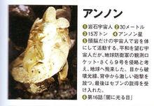 岩石宇宙人安能