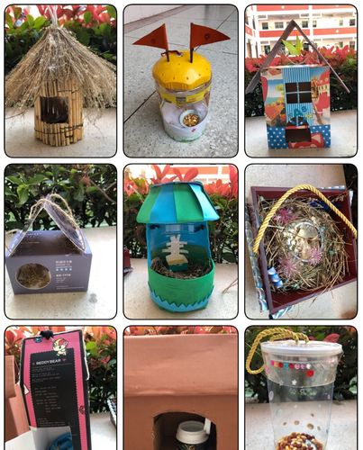 科学课动手作业:小鸟的餐厅&秋天的百宝箱,还记得哪个是你当时的作品