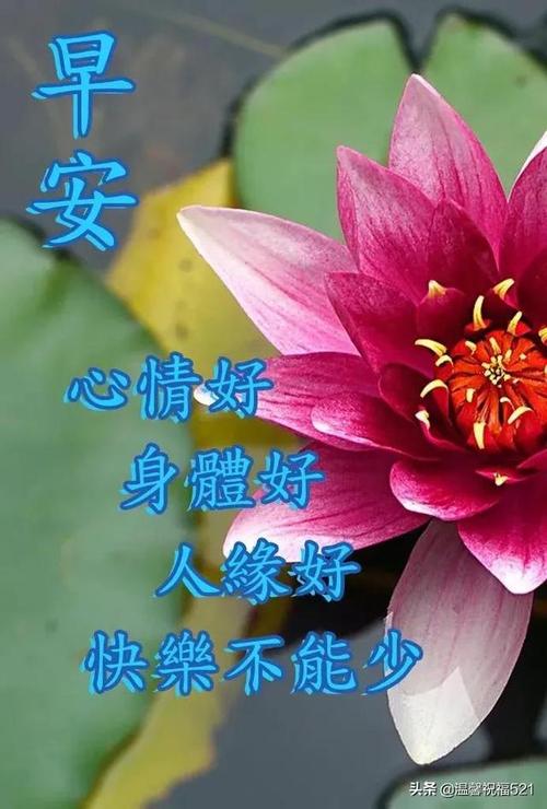 大年初七最新创意早安图片精选唯美早上好问候祝福图片带字温馨