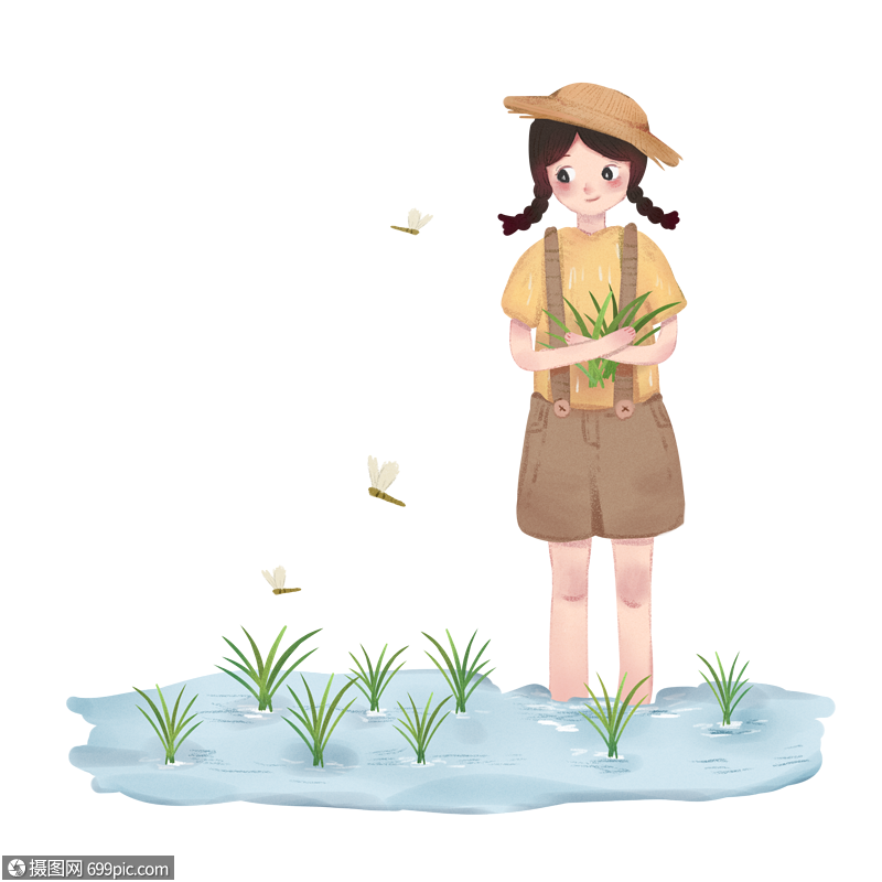 插秧的女孩秧苗卡通