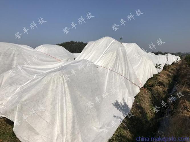 柑橘防冻布,柑桔防寒布,植物防寒布