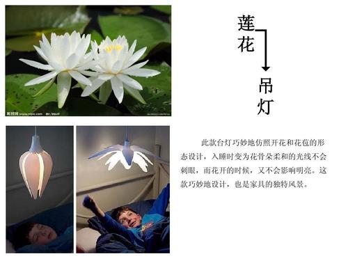 产品仿生设计案例ppt