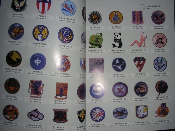 血战中国天空---二战时期美国援华空军的战斗