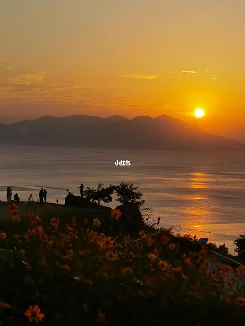 来霞浦千万别错过这片山海间的草坪_草坪_旅行