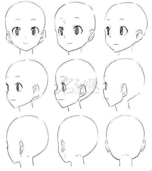如何画出不同角度下的脸部细节