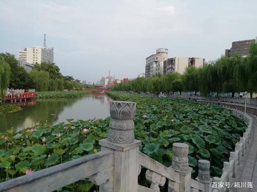 许昌——莲城印象