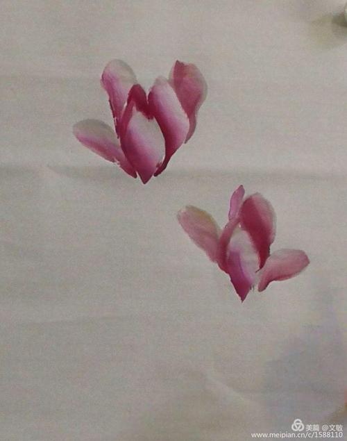 耿老师小写意花鸟中级二:6,辛夷和垂丝海棠的画法