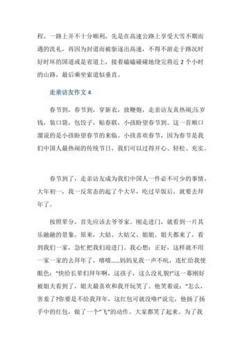 走亲访友初二作文600字