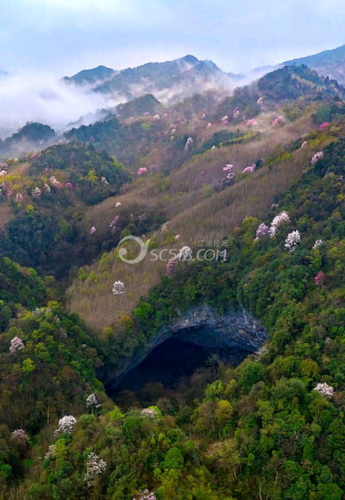 吴家后山的天坑