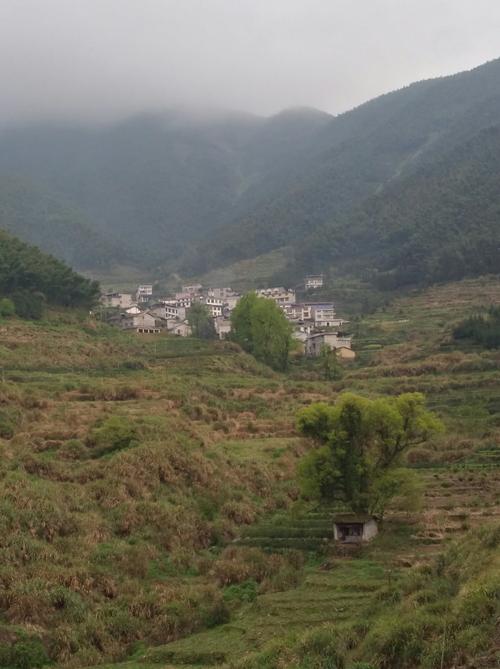 其它 武夷山下__大坞村 写美篇大坞,江西省铅山县武夷山镇所辖自然村.