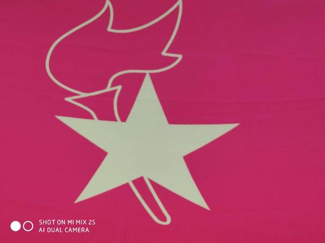 集结在星星火炬旗帜下——钟祥四中建队仪式2018年