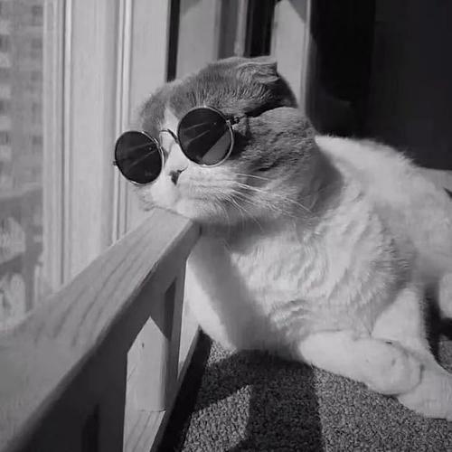 微信头像一些小众头像