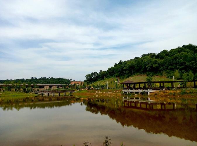 湖南省衡阳市珠晖区衡州大道靠近荷花坪双语幼儿园