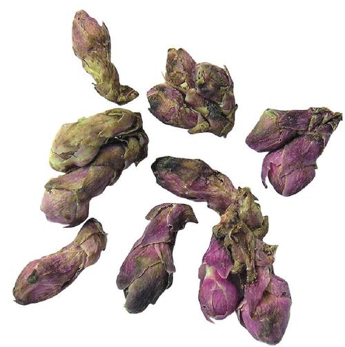 款冬花(花蕾)-中药辨识及应用-医学