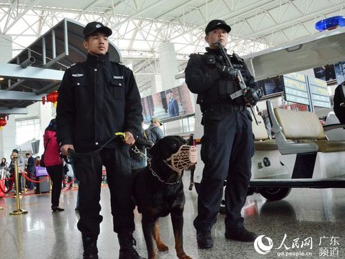 特警带着警犬在机场内日常巡逻,确保场内安全.林龙勇 摄
