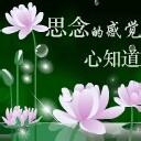 思念的感觉心知道