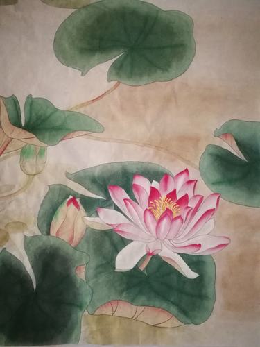 工笔小班课画纪——睡莲