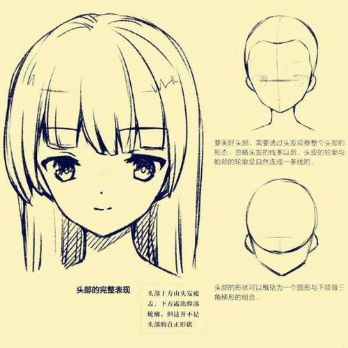 艺森合尚教育 教你画头形 拆分详解