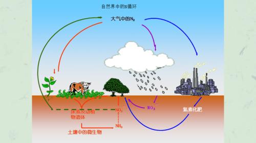 生物固氮原理课件