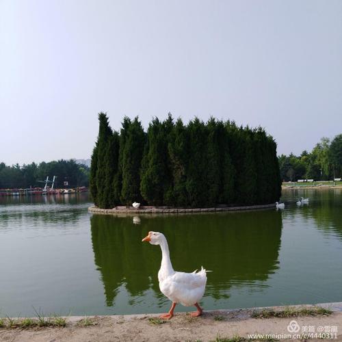 安阳易园——小河湾湾粽是情