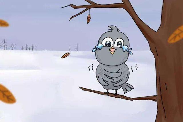 小学语文中的寒号鸟现实中啥样?它有一个千里觅食一处