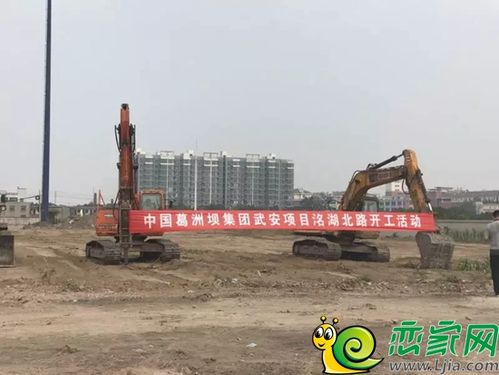 邯郸发展看武安,武安发展看洺湖新区!